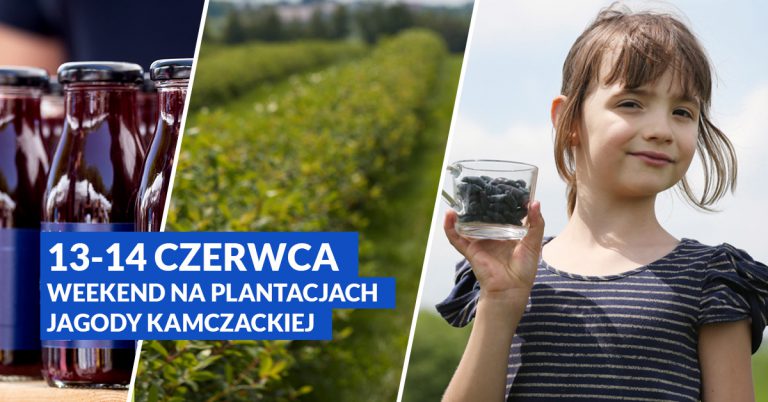 Read more about the article Weekend z jagodą kamczacką – 13-14 czerwca – ZAPRASZAMY